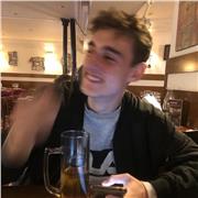 Profesor de inglés serio, responsable y organizado con nivel B2 y experiencia se ofrece a dar clases a niños de infantil, primaria y secundaria. También online